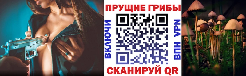 Псилоцибиновые грибы GOLDEN TEACHER  Жиздра 