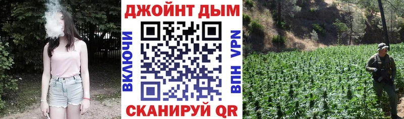 Бошки марихуана марихуана Жиздра
